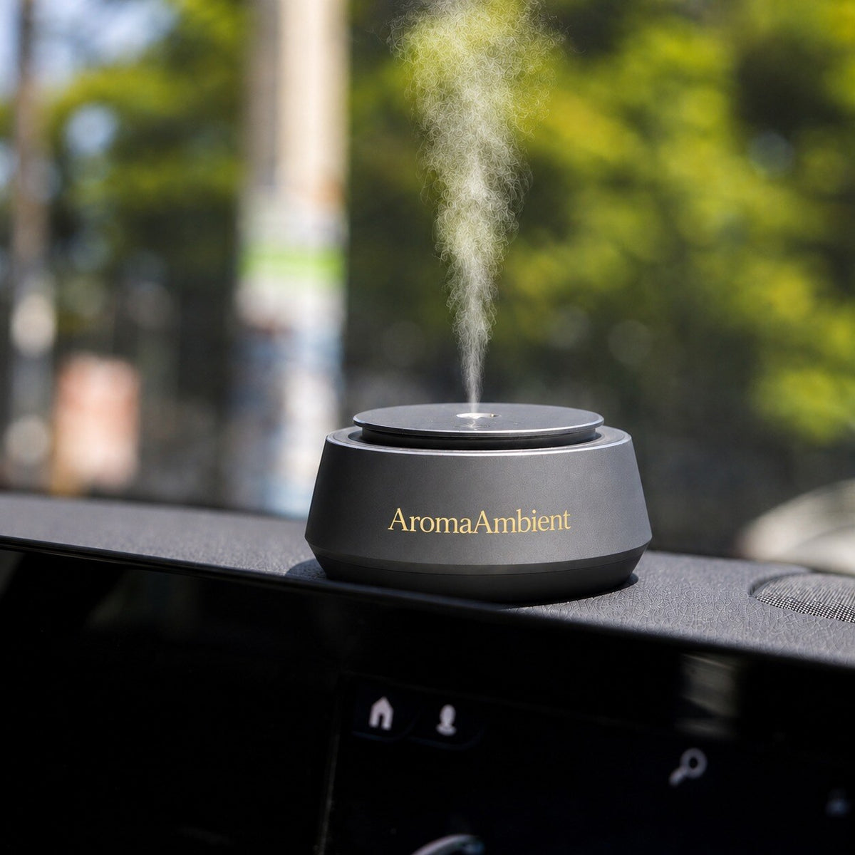 Car Diffuser